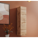 mobile-tv-berit-v120-roble