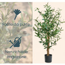 pianta-artificiale-decorativa-ulivo-100